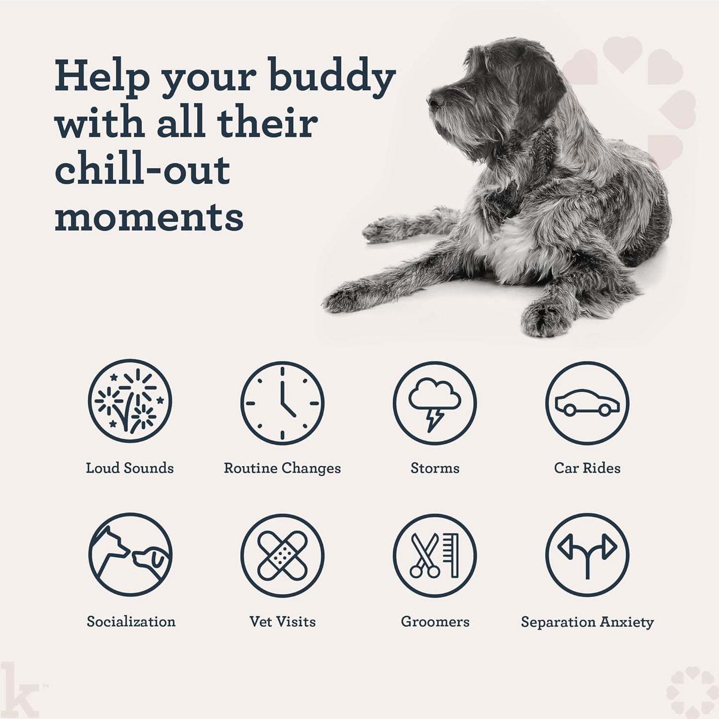 Kradle Calming Chews for Dogs - Anxiety and Stress Support - L-Theanine Ashwagandha GABA - Calming Supplement for Relaxation and Stress - Chicken Flavor- 150 Non-Drowsy Chews