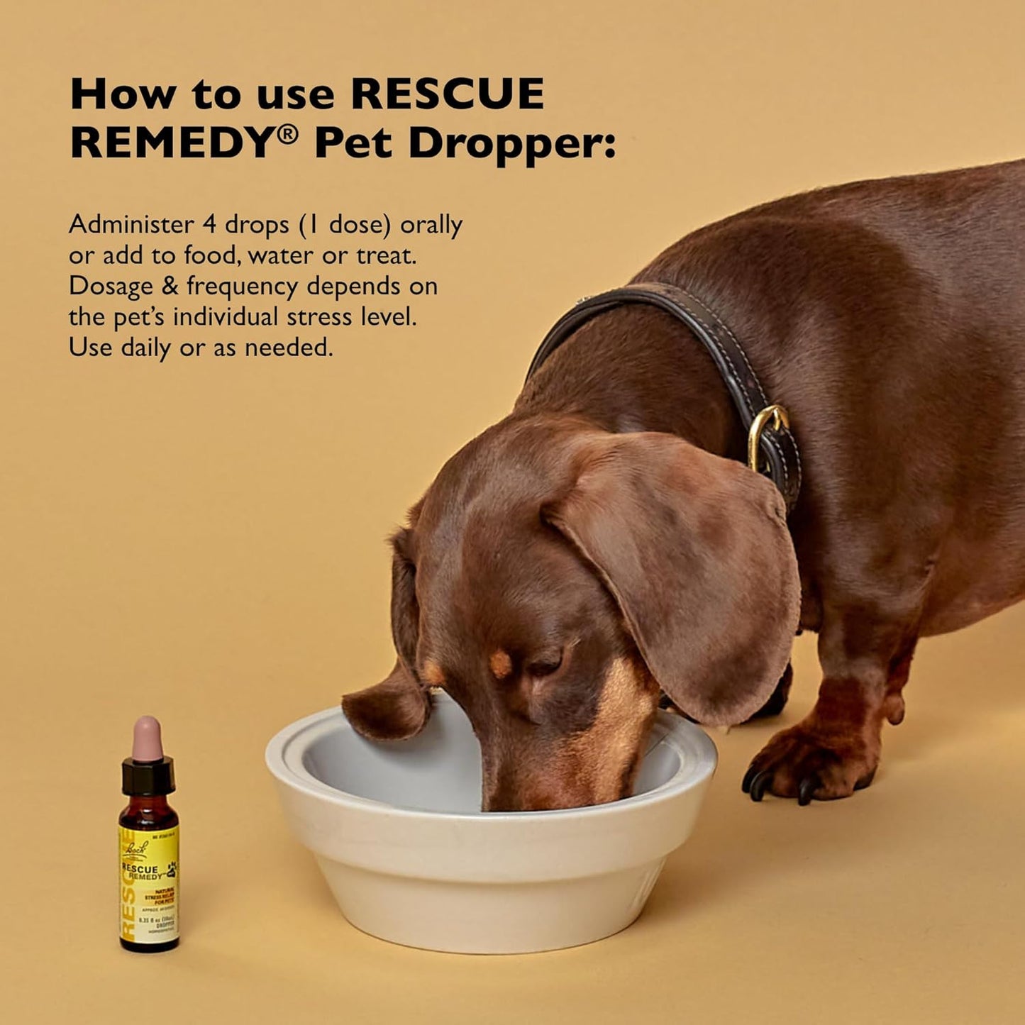 Rescue Remedy Pet Dropper - 10mL - Stress & Tension Support for Dogs & Cats with Bach Natural Flower Essences - Sedative-Free, Homeopathic Liquid Formula - For All Breeds, Ages & Weights