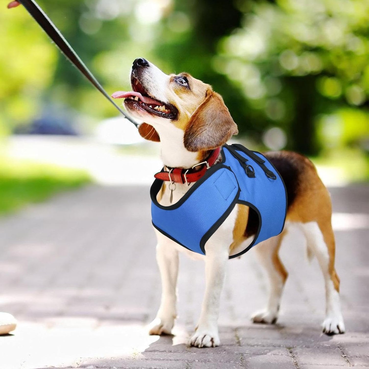 Dog Lift Harness, Puppy Mobility Support, Dog Walking Harness, Stair Assistance Dog Lift Support, Pet Front Leg Lift, Adjustable Dog Lift for Helping Your Puppy Walk Stand, Go up and Down Stairs