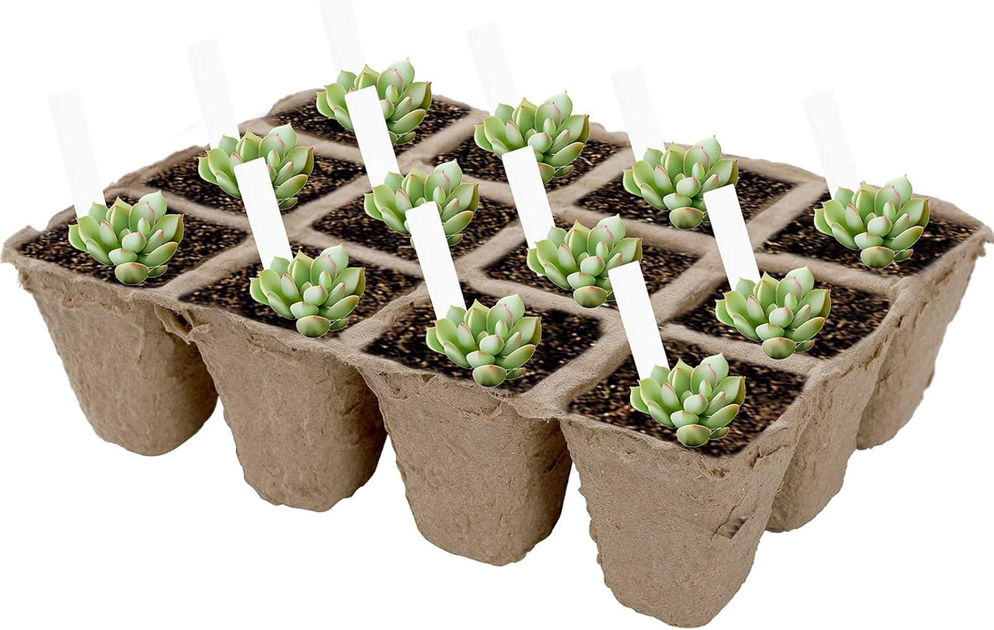 Jucoan 40 Pack Peat Pots Seed Starter Trays, 480 Cells Germination Seedling Pots, Organic Biodegradable Plant Germination Tray with 40 Plant Labels for Vegetable Flower, Herbs, Indoor Outdoor Garden