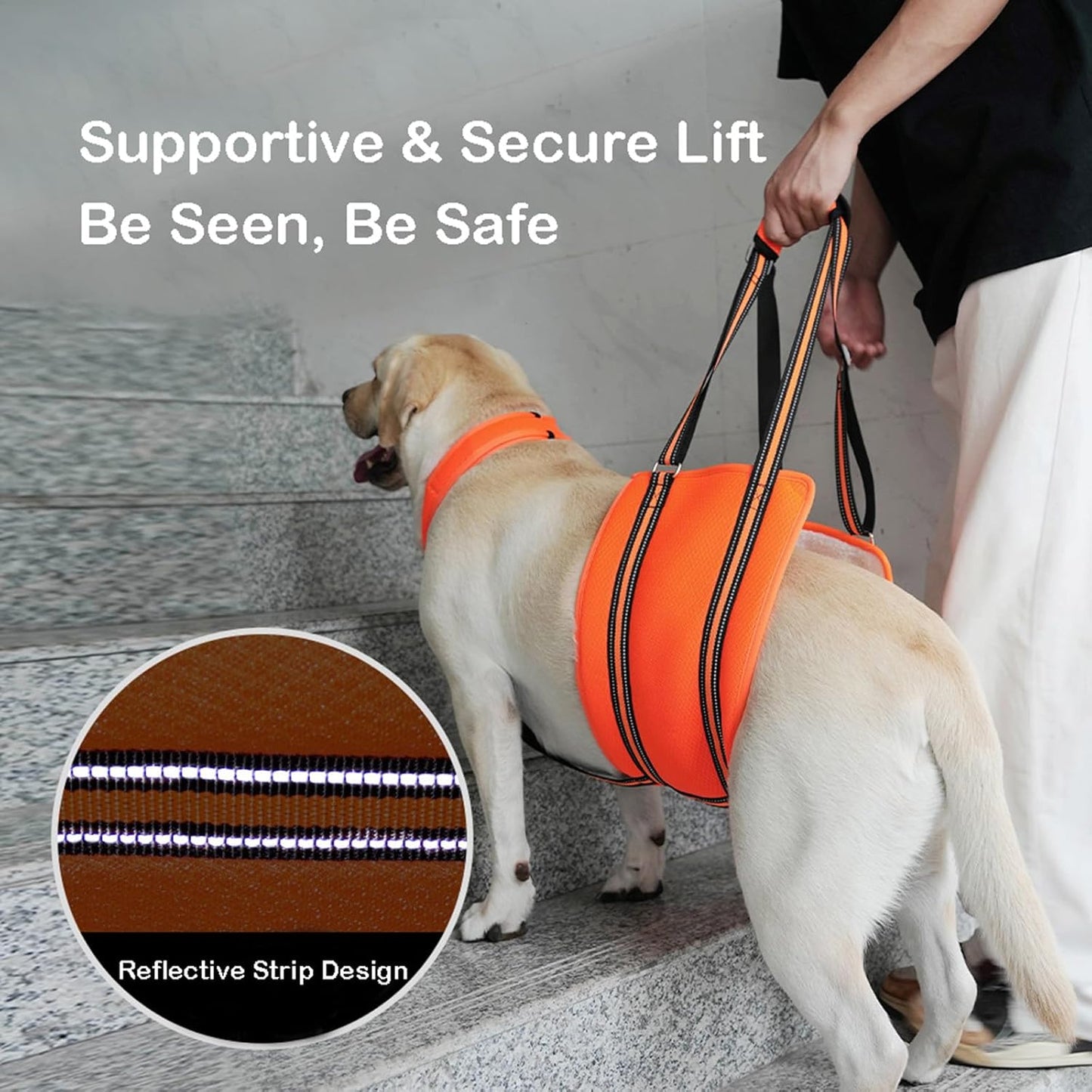 Adjustable Dog Lift Harness, Rear Leg Support and Rehab Harness for Small Dogs, with Stabilizing Strap and Reflective Strip, Helps Assist Elderly, Disabled, and Post-Surgery Dogs