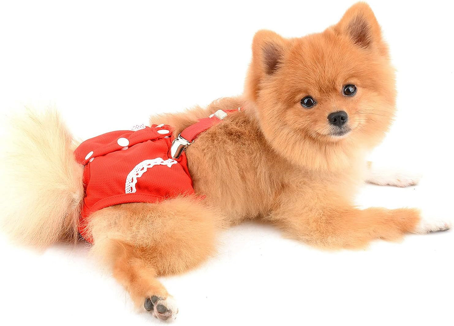 SMALLLEE_LUCKY_STORE Red Lace Girl Dog Diapers for Female with with Suspender Washable Reusable Cloth Sanitary Pants for Heat Cycle Incontinence Puppy Training