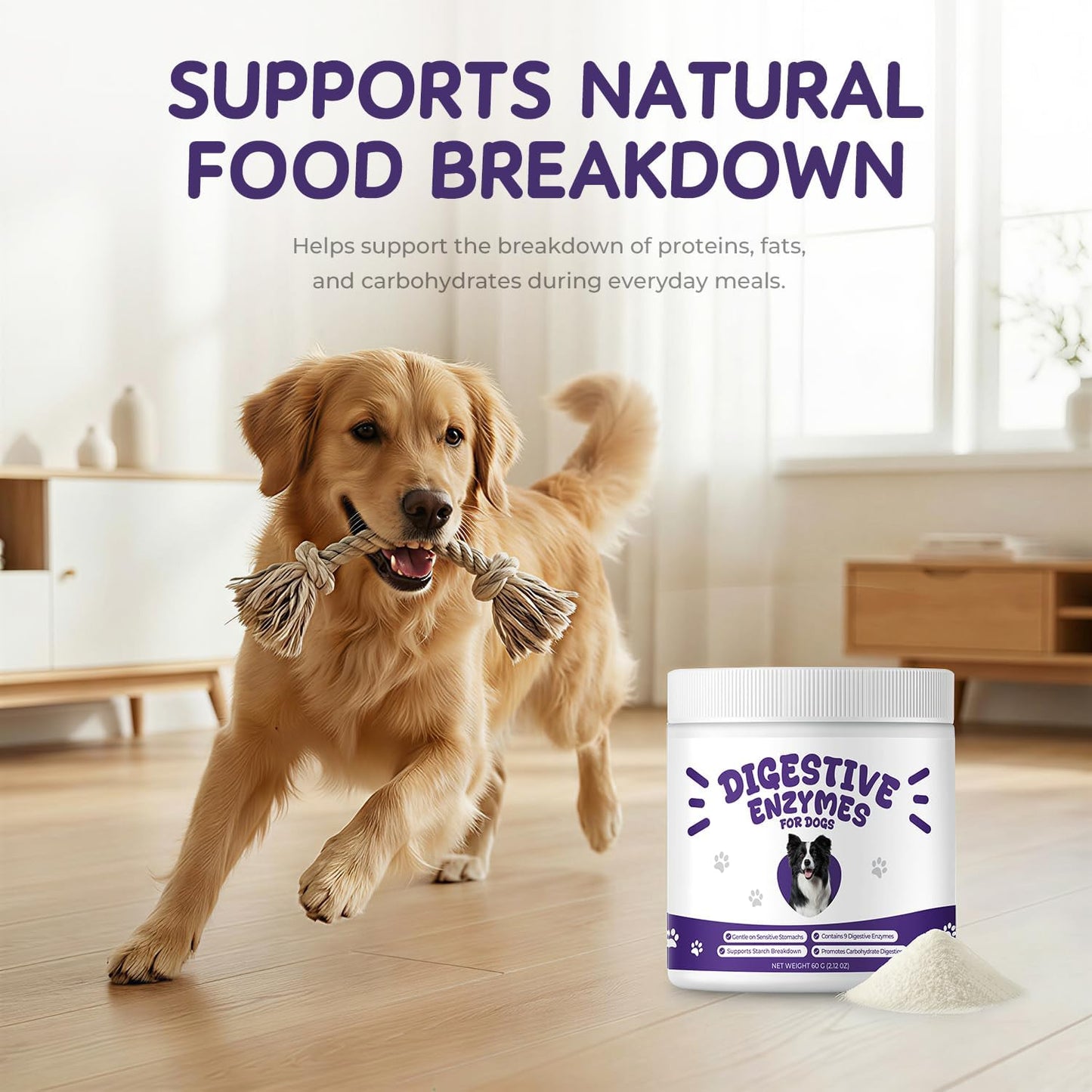 Digestive Enzymes for Dogs, Pancreatic Enzyme Blend to Support Kibble Digestion, Nutrient Absorption & Stool Consistency – Daily Powder for Sensitive Stomachs, 60 g