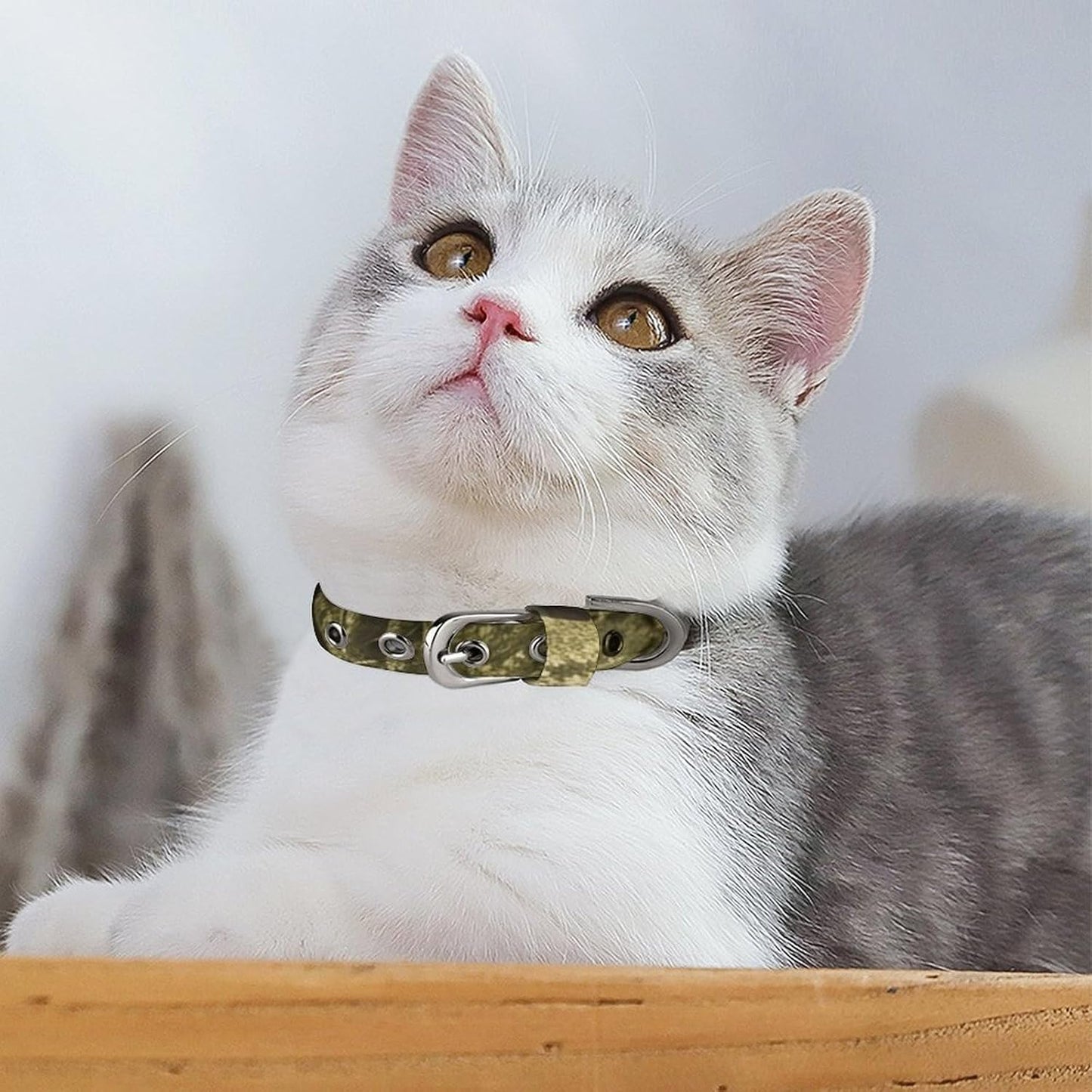 Horseback Riding on The Trails Dog Collar with Buckle Adjustable Martingale Pet Collars Cute Female Male Puppy Collar Soft Waterproof Cat Collars for Small Medium Dogs