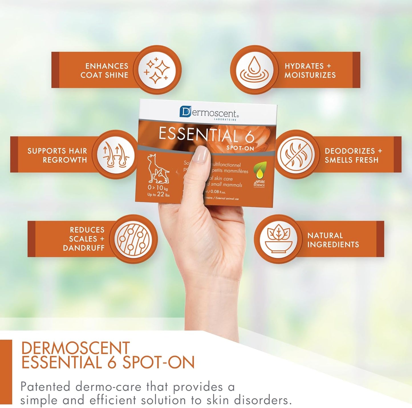 Dermoscent Essential 6 spot-on - Dog Skin Care for Dandruff & Allergy Relief with Vitamin E Oil - Anti Itch for Dogs - Dog & Small Mammals 0-10 kg - 4 Pipettes of 0.6 ml