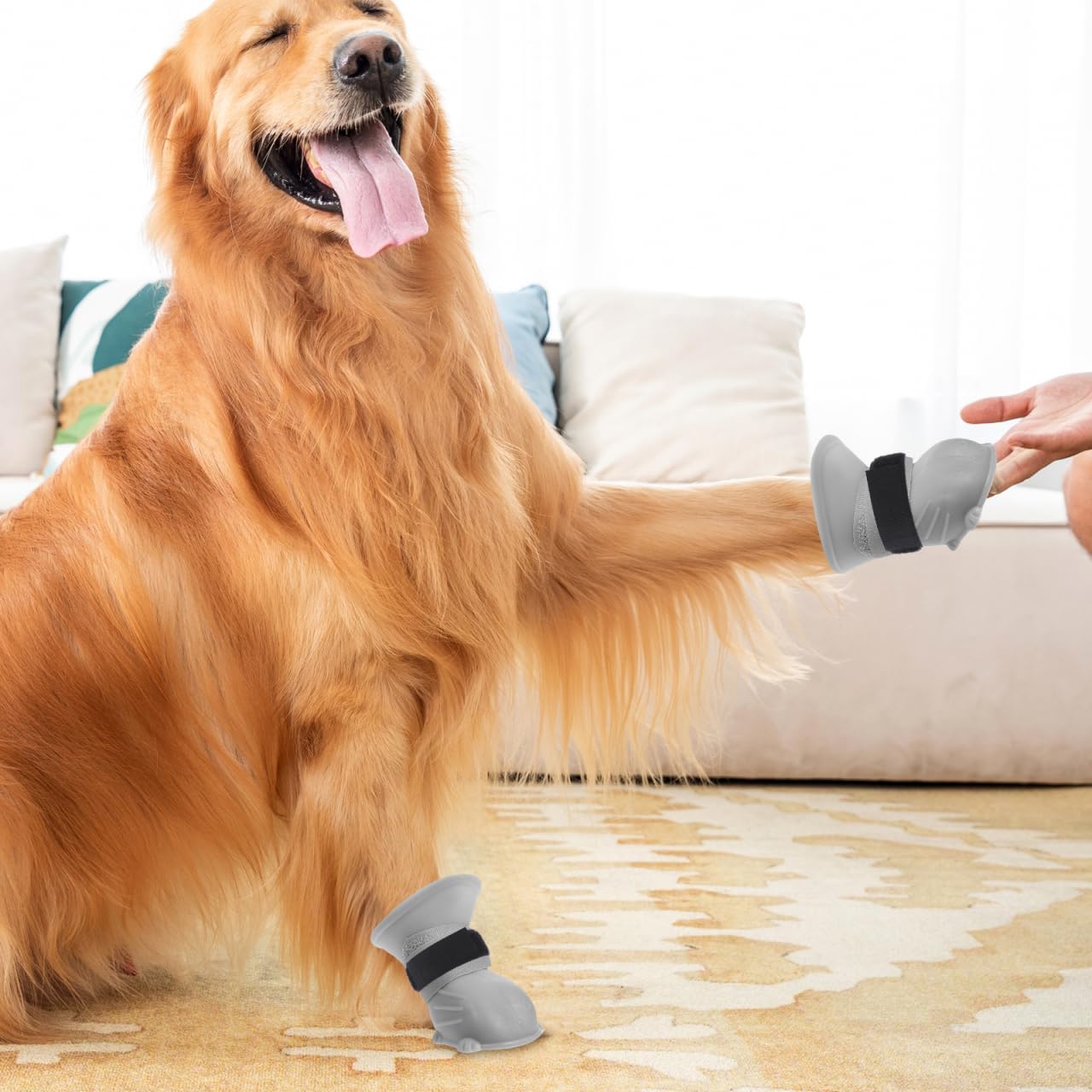 VOSAREA 10pcs Dog Bootie Straps Non Slip Sock Holders Adjustable Paw Protector Bands Non Skid Sock Fasteners Pet Footwear Accessories for Rainy Muddy Outdoor Use