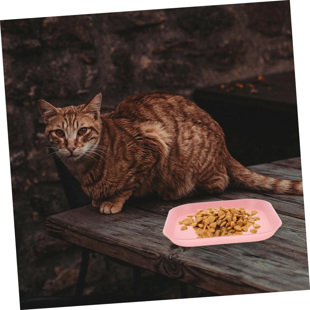 PRETYZOOM 8pcs Shallow Square Cat Food Bowls Kitten Wet Food Plates Small Indoor Pet Feeding Dishes Assorted Colors