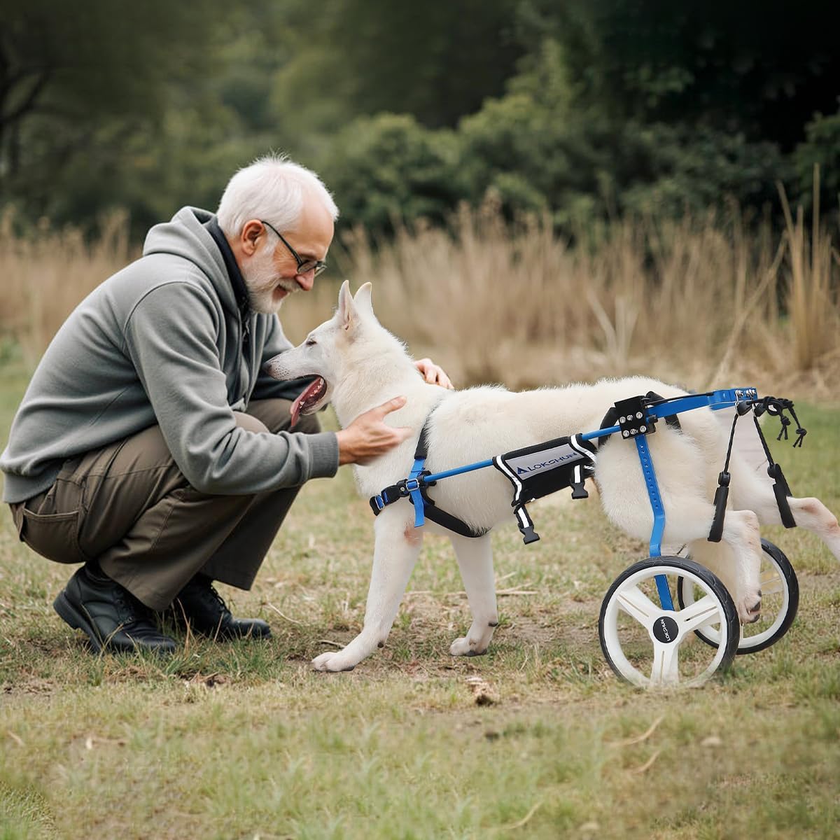 Dog Wheelchair for Back Legs Large, Heavy Duty Wheelchair for Dogs, Adjustable Dog Carts with Wheels for Disabled Hind Legs, Solid Metal, 77lb Capacity, with Protection Pads, Sling Lift - Blue