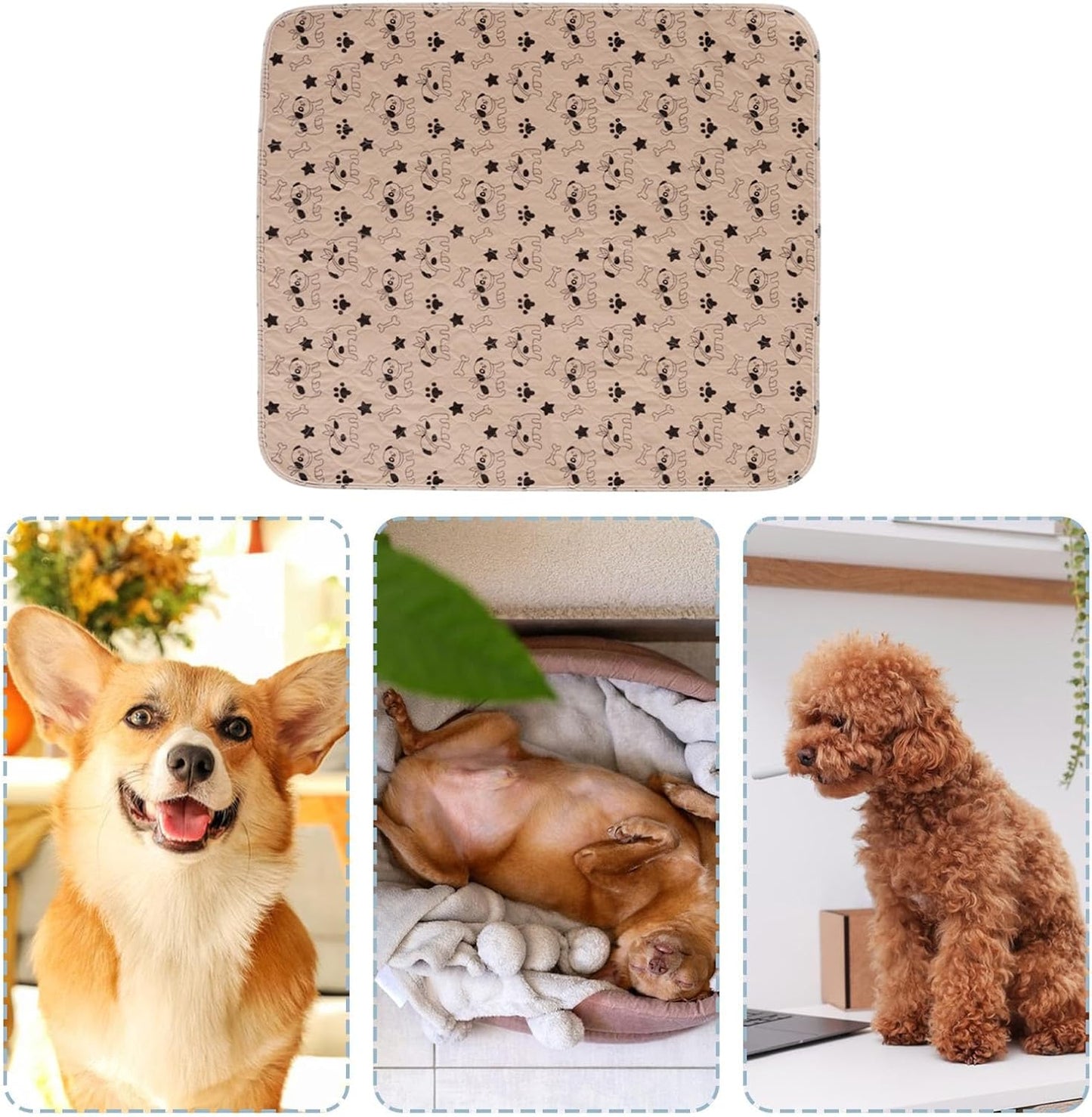 Training Pads – Reusable Pee Mats for Pet Learning | Fast Absorb Core Layers, Washable Multi Use Design, Leak Guard Structure & Indoor Care Features for Cat Potty Practice, Crate Resting, Travel Setup