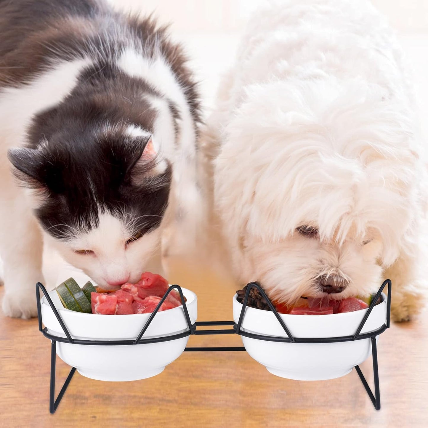 Cat Bowls, Double Ceramic Pet Bowls with 15°Tilted Raised Stand for Food and Water, Anti Vomiting Dish Feeder, Perfect Puppy Cats Small Dogs(Black Stand), LLNVBP1966