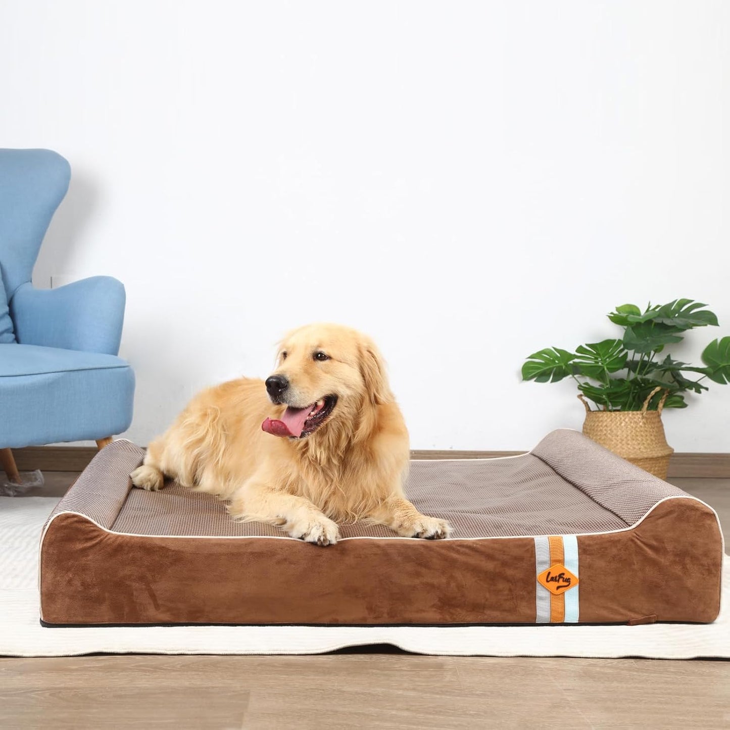 Laifug Orthopedic Memory Foam Extra Large Dog Bed with Pillow and Durable Water Proof Liner & Removable Washable Cover & Smart Design (Jumbo (50"x36"x10"), Chocolate)