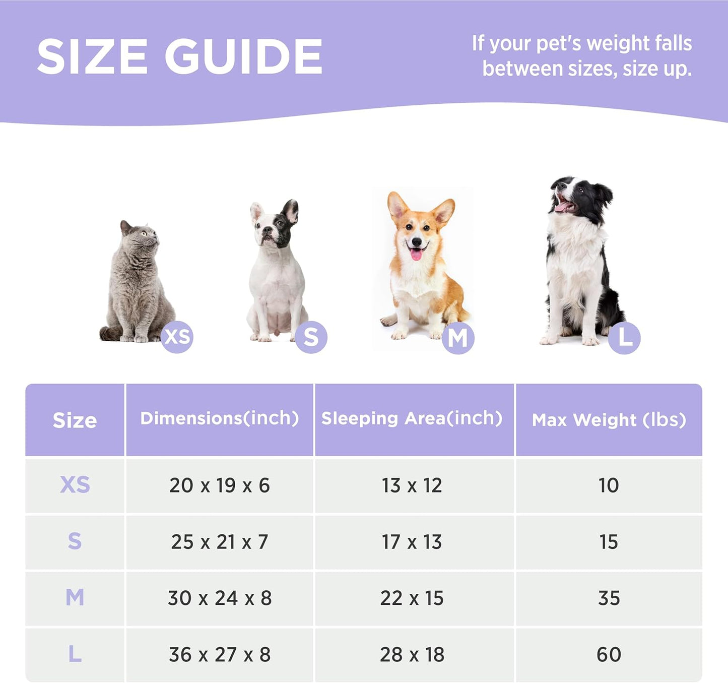 LE SURE Cute Dog Bed for Small Dogs - Washable Puppy Beds,Cozy Rectangle Orthopedic Pet Sofa with Jacquard Shaggy Plush & Anti Slip Bottom,25x21x7inches