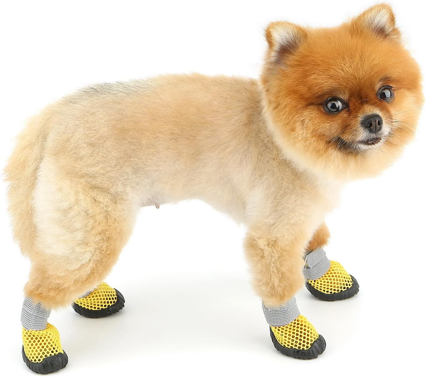 Dog Boots, Small Dog Shoes and Paw Protectors Summer Hot Pavement Anti-Slip Sole and Skid-Proof Mesh Breathable Nonslip Puppy Booties for Hardfloors Walking Running Hiking,Yellow,4#