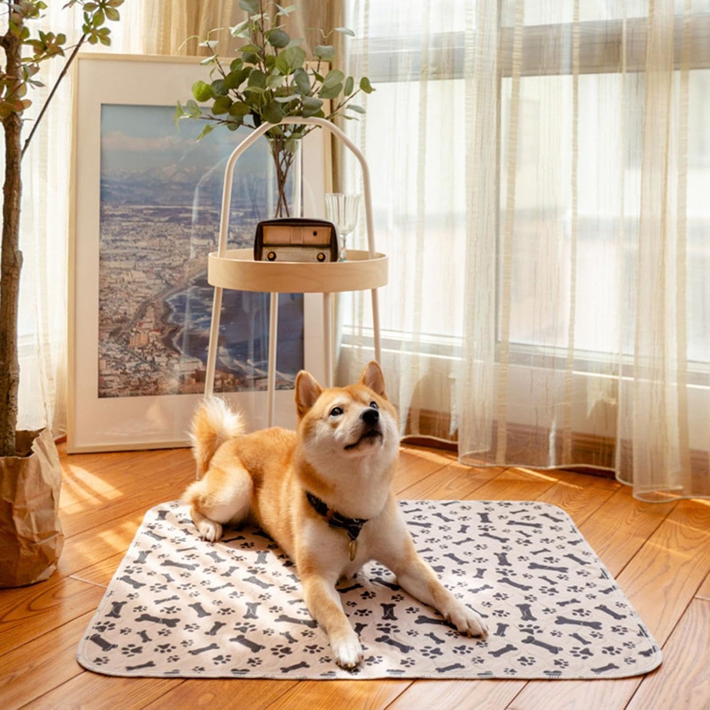 Puppies Training Pad Washable Durability Polyester Pet Pee for Indoor Outdoor Use Leakproof Dog Potty Mat Pet Potty Training