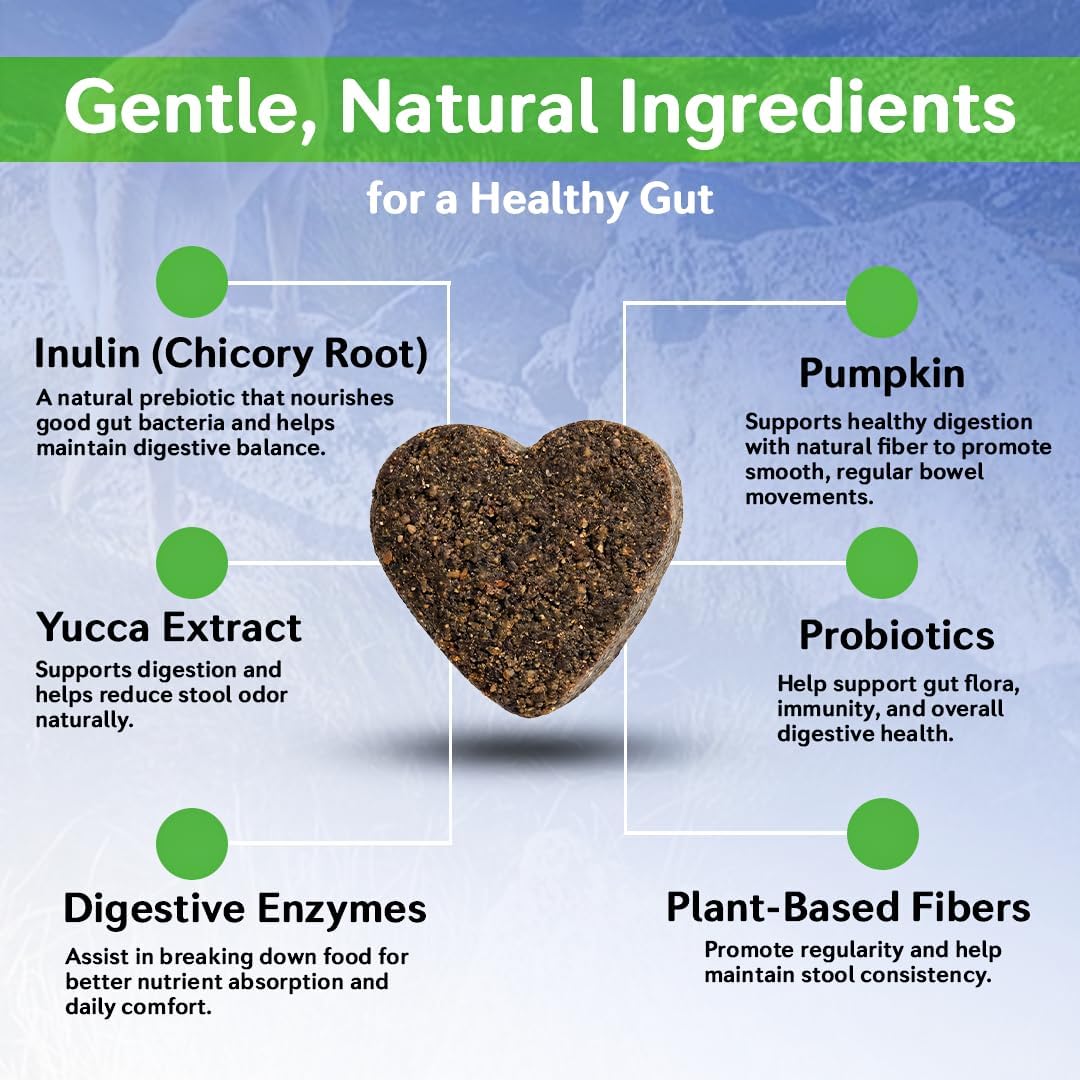 Dog Probiotics Chews – 6 Billion CFU with Prebiotics, Pumpkin, Inulin, Chicory Root & Digestive Enzymes – Supports Gut Health, Digestion, Immunity & Regularity – Natural oft Chews for Dogs