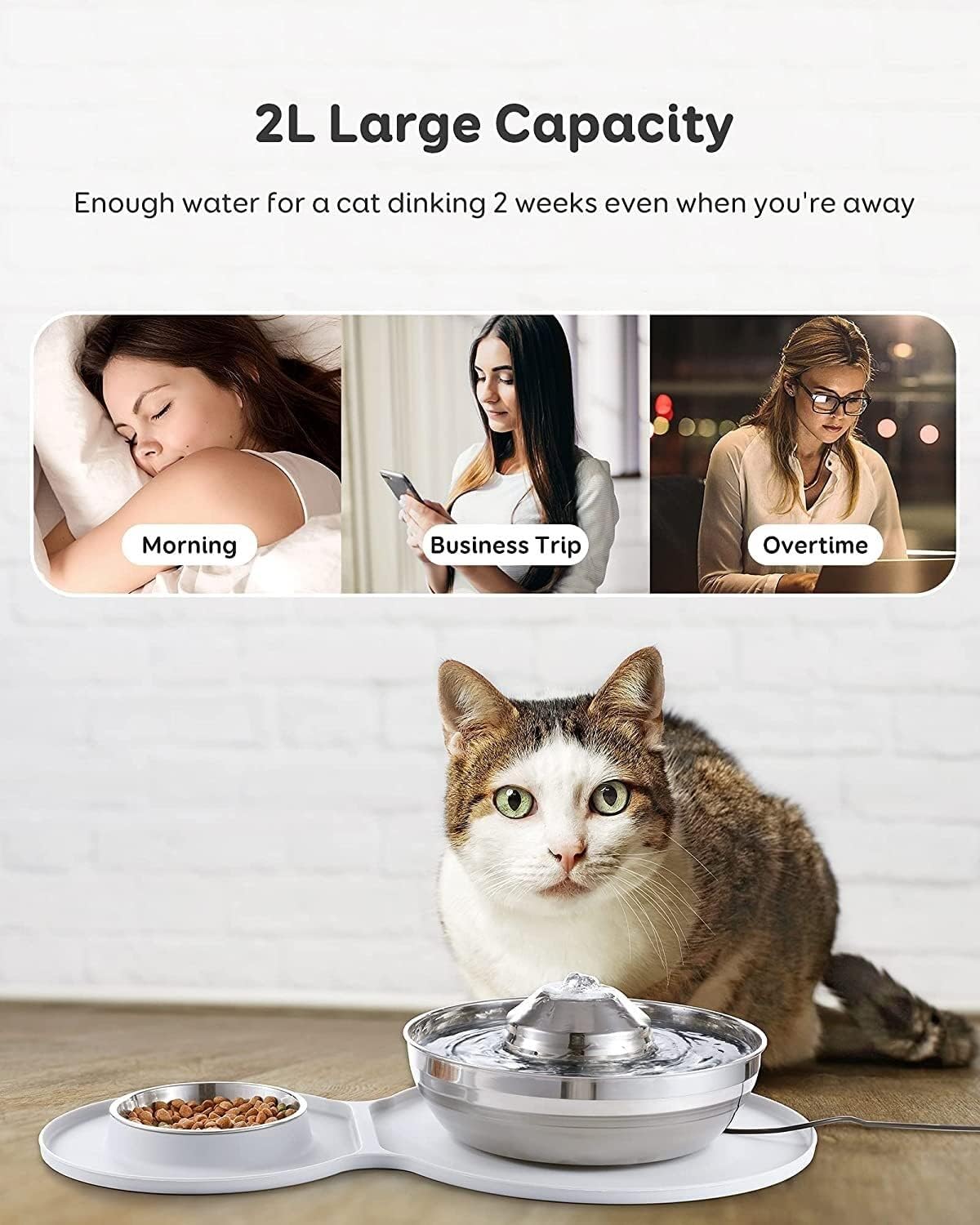 Fountain Stainless Steel Water Fountain Dog Bowl 2in1 Set, 2L/67oz Pet Water Fountain 248ml Food Bowl,Feeding Watering Supplies with 3 Filters Mat for Cats Dogs Pet Water Dispenser