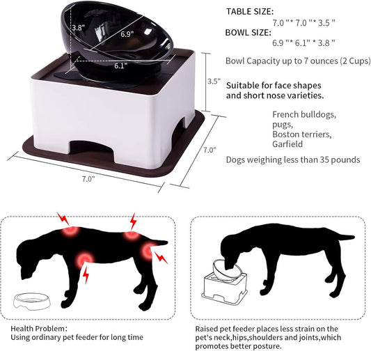 Raised Tilted Dog Feeding Bowl,Elevated Ceramic Dog Bowls Set Anti-Slip,Standing Pet Feeding Dish for Small Medium Dogs and Cats,Black