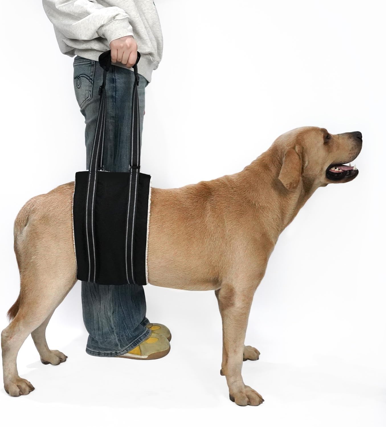 COODEO Adjustable Comfortable Dog Sling with Handle Hind Leg Support Soft Lift Support and Rehab Harness for Weak Rear Legs,Helps Senior, Injured, Disabled and After ACL Surgery Dogs Large (Black, L)