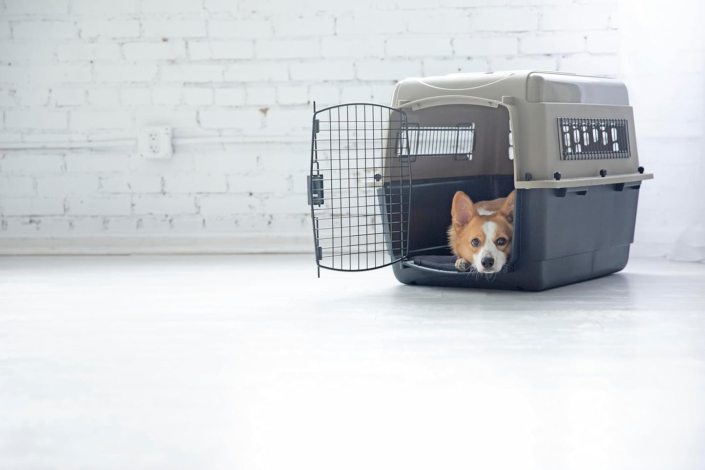 Petmate Ultra Vari Dog Kennel for Small to Medium Dogs (Durable, Heavy Duty Dog Travel Crate, Made with Recycled Materials, 28 in. Long) 25 to 30 lbs, Made in USA