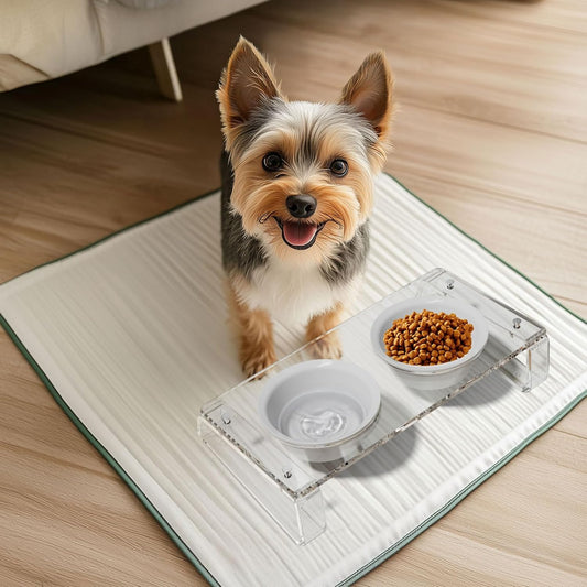 AITEE Elevated Cat Food Bowl, Ceramic Raised and Tilted Water Bowl, Non-Slip Ceramic Dog Bowls for Puppy and Kitten Cats 45.8 OZ