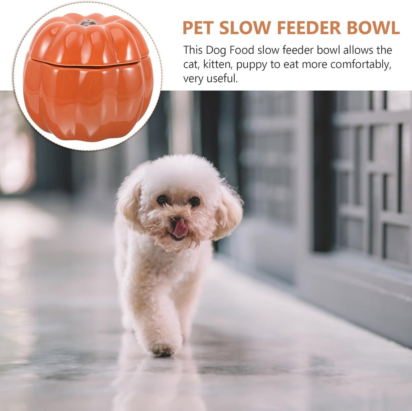 FAVOMOTO Ceramic Cat Bowl and Dog Food Bowl Raised Pet Feeding Dish with Neck Protection Pumpkin Orange for Cats and Puppies