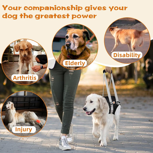 Dog Lift Harness for Medium Dogs,Dog Sling for Back Legs,with Handle,Rear Leg Support/Walk/Up Stairs/Dogs Joint Injuries/Arthritis