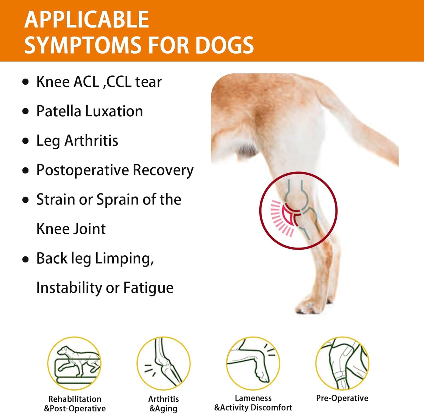 Dog Knee Brace for Torn ACL, CCL – Hind/Back Leg Support with Harness & Anti-Slip Straps – Adjustable Fit, Soft & Breathable, Post Surgery & Injury Recovery Hand Washable S