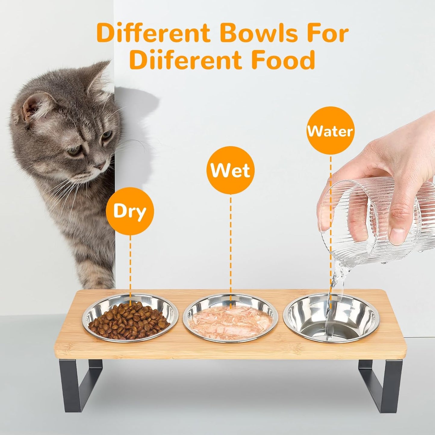 2 Set Elevated Cat Food Water Bowls, 6 Stainless Steel Bowls, 15° Tilted Raised Cat Bowl Set, for Indoor Cats for Small Cats and Puppies Pet Bowls with Stand