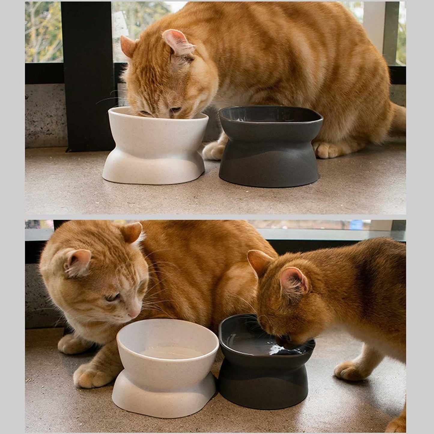 Cats Food Bowls Elevated Cats Bowls for Food and Water with Base Stand Bowl 10° Raised Single Bowl Elevated Dog Bowls