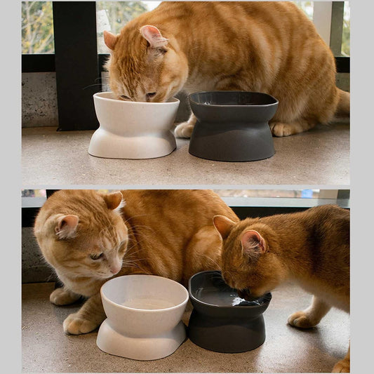 Cats Food Bowls Elevated Cats Bowls for Food and Water with Base Stand Bowl 10° Raised Single Bowl Elevated Dog Bowls