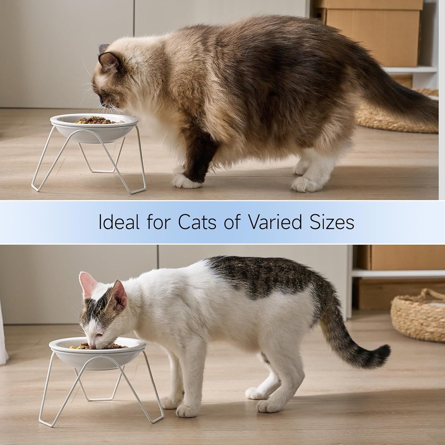 2-Pack Ceramic Raised Cat Bowls for Food and Water, Elevated Pet Dishes Bowls with Stand, Cats and Small Dogs, Dishwasher Safe