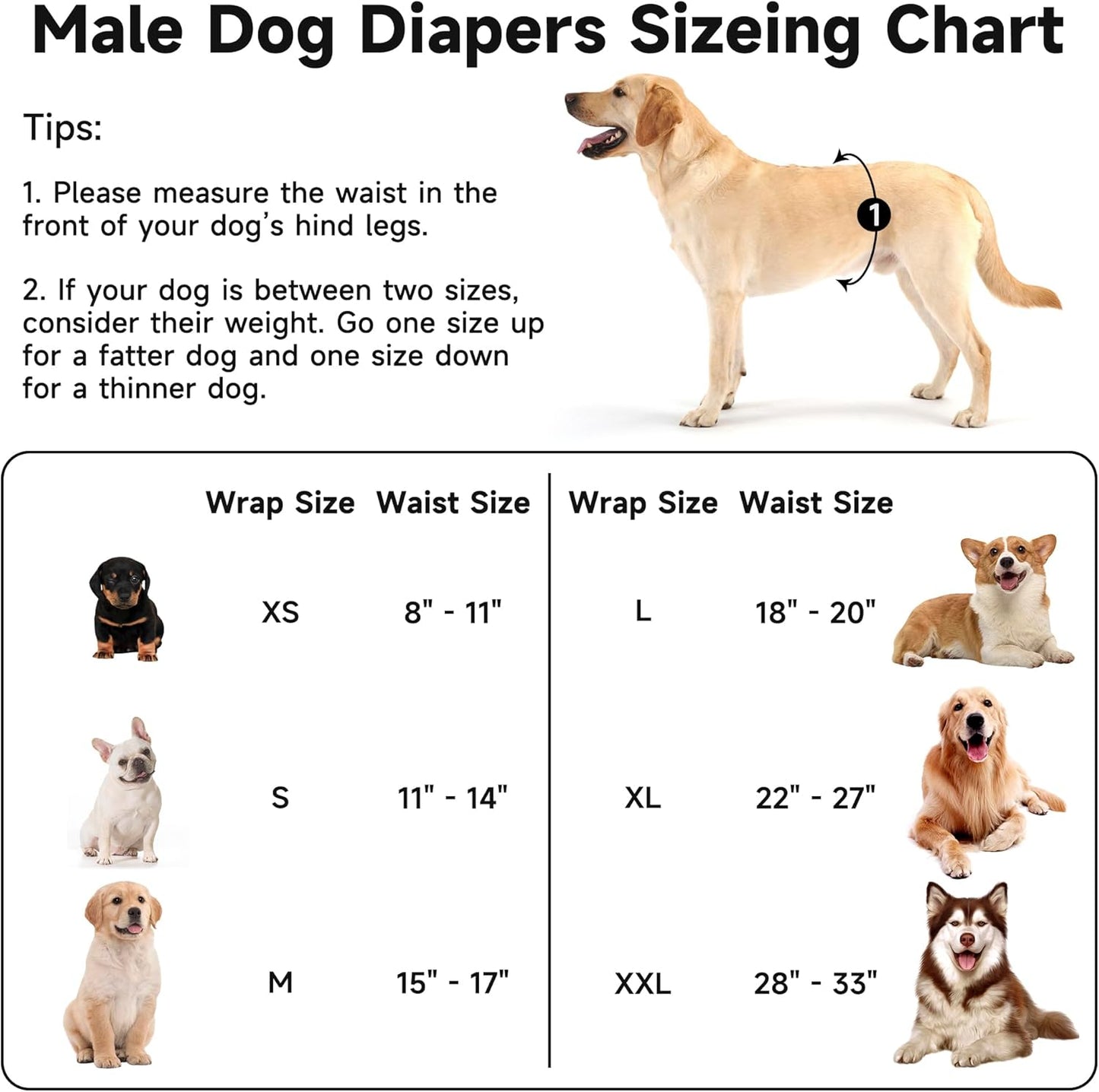 5 Pack Dog Diapers Male Reusable, Premium Belly Bands for Male Dogs, High Absorbing Male Dog Pee Wraps for Doggie in Incontinence or Excitable Urination and Training, Dino S