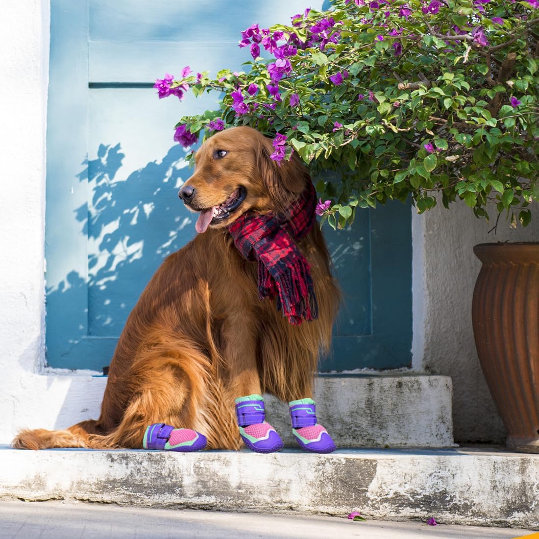 Dog Shoes for Hot Pavement, Breathable Mesh Medium Dog Booties for Large Medium Dogs, Non-Slip Outdoor Summer Dog Boots Paw Protectors for Walking Hiking Camping Hardfloors Size 5