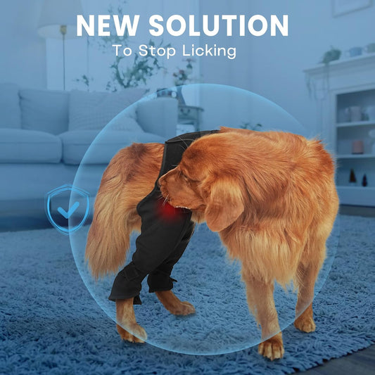 Dog Recovery Sleeve Rear Leg for Stop Licking, Comfortable Back Leg Pants for Wound ACL TPLO After Surgery, Dog Cone Alternative Protective, 2XL