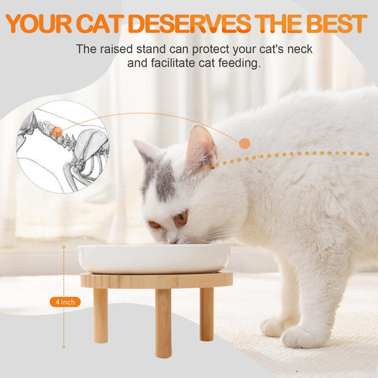 Raised Slow Feeder Cat Bowl, 5.9 Inch Wide Shallow Ceramic Elevated Glass Food Bowl Puzzle Feeders, Anti Vomit Cat Dish, Whisker Friendly Pet Plates Feeding Station for Indoor Cats, Kitten(2 Set)