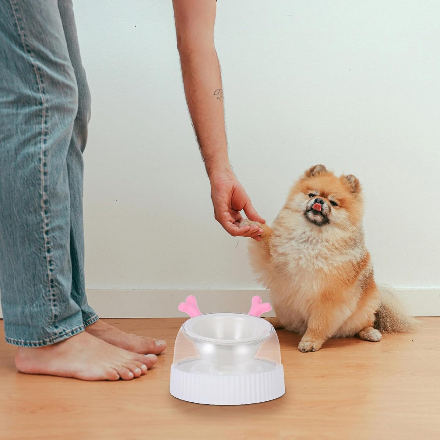 Milisten Slow Feeder Dog Bowl and Raised Pet Water Dispenser with Stand Anti-Spill Slow Feeding Bowl for Small Dogs and Cats for Indoor Use