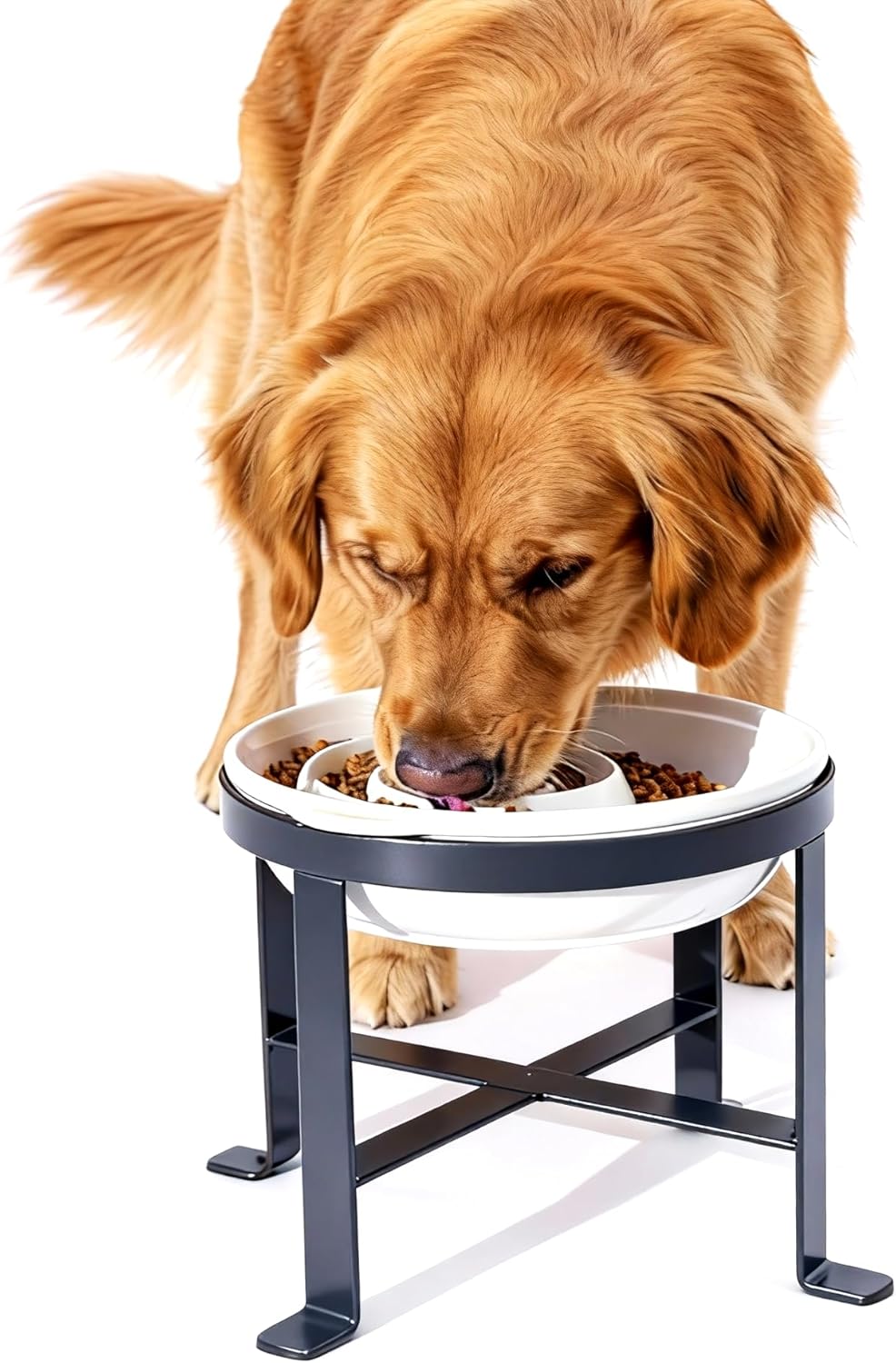 Slow Feeder