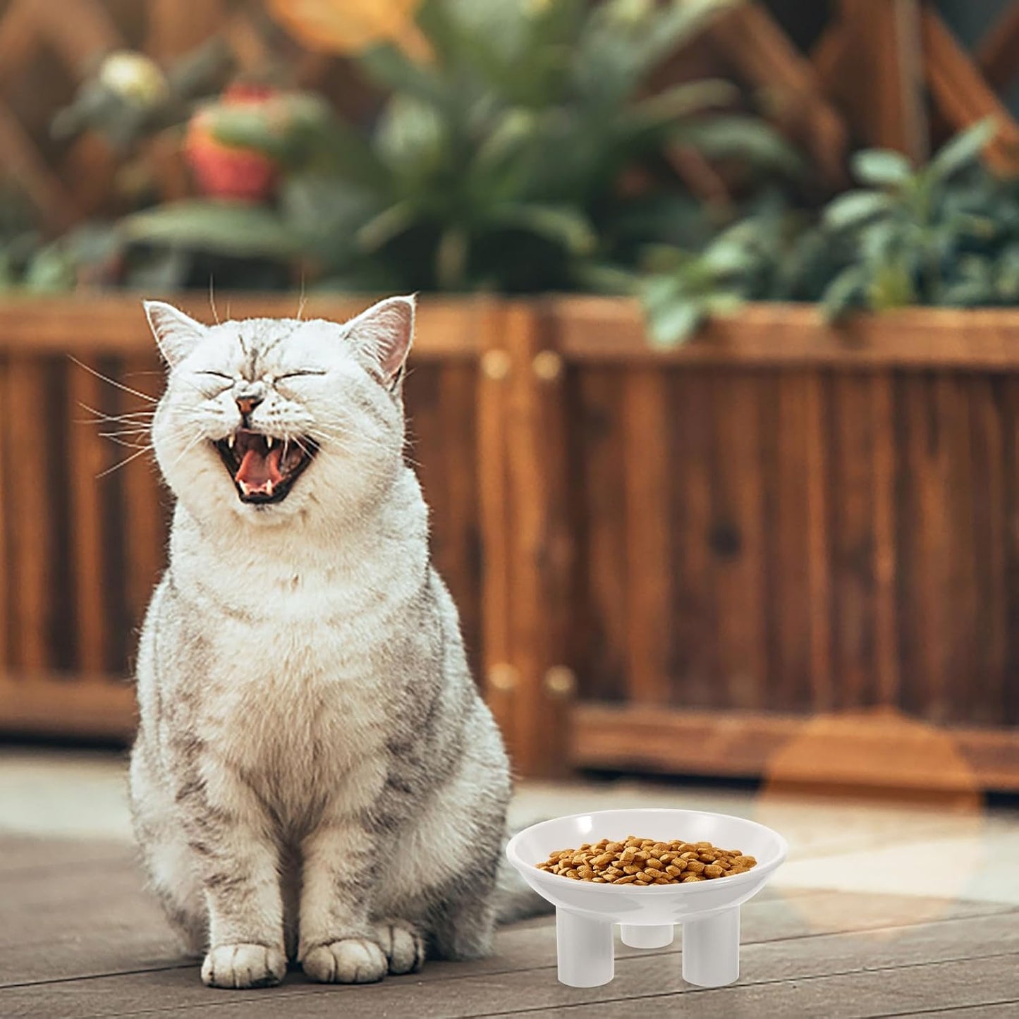 Milisten Raised Cat Bowl and Dog Food Bowl, Plastic Elevated Pet Feeder with Large Opening and Three Legs, White Wear-Resistant Feeding Dish for Indoor Cats and Kittens