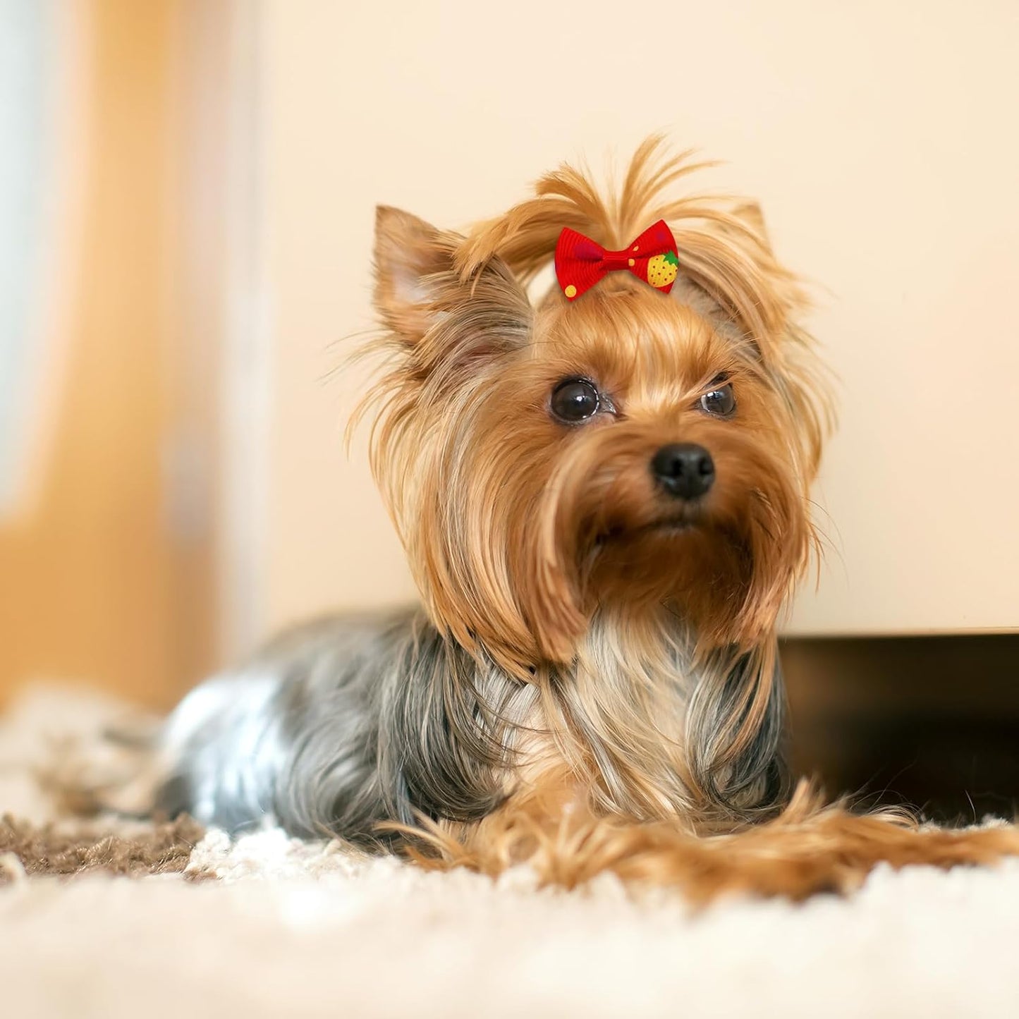 100PCS Cute Puppy Dog Small Bowknot Hair Bows,Yorkie Doggie Bows with Rubber Band Pet Grooming Bows Dog Hair Costume Accessories for Small Dog