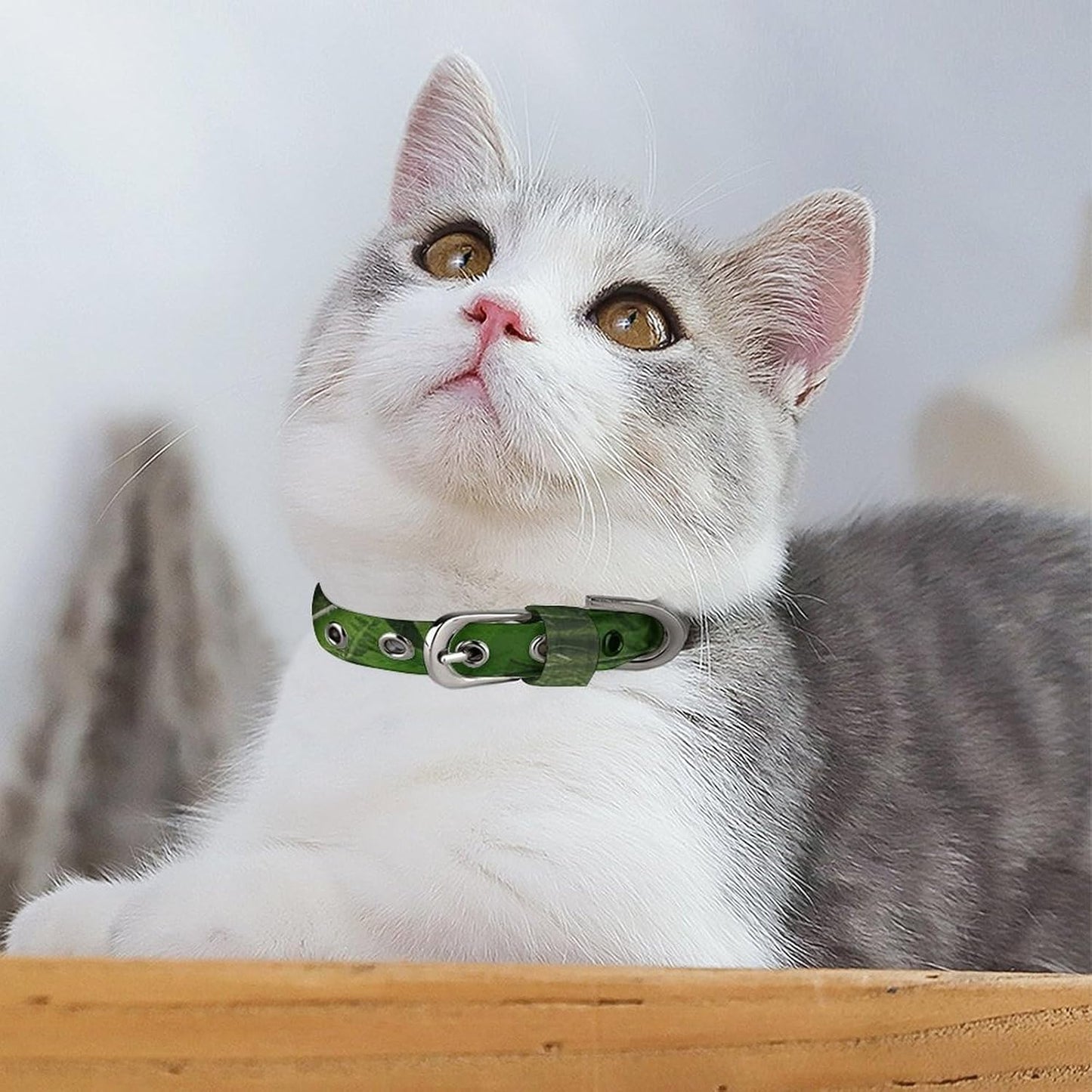 Tropical Rainforest Dog Collar with Buckle Adjustable Martingale Pet Collars Cute Female Male Puppy Collar Soft Waterproof Cat Collars for Small Medium Dogs