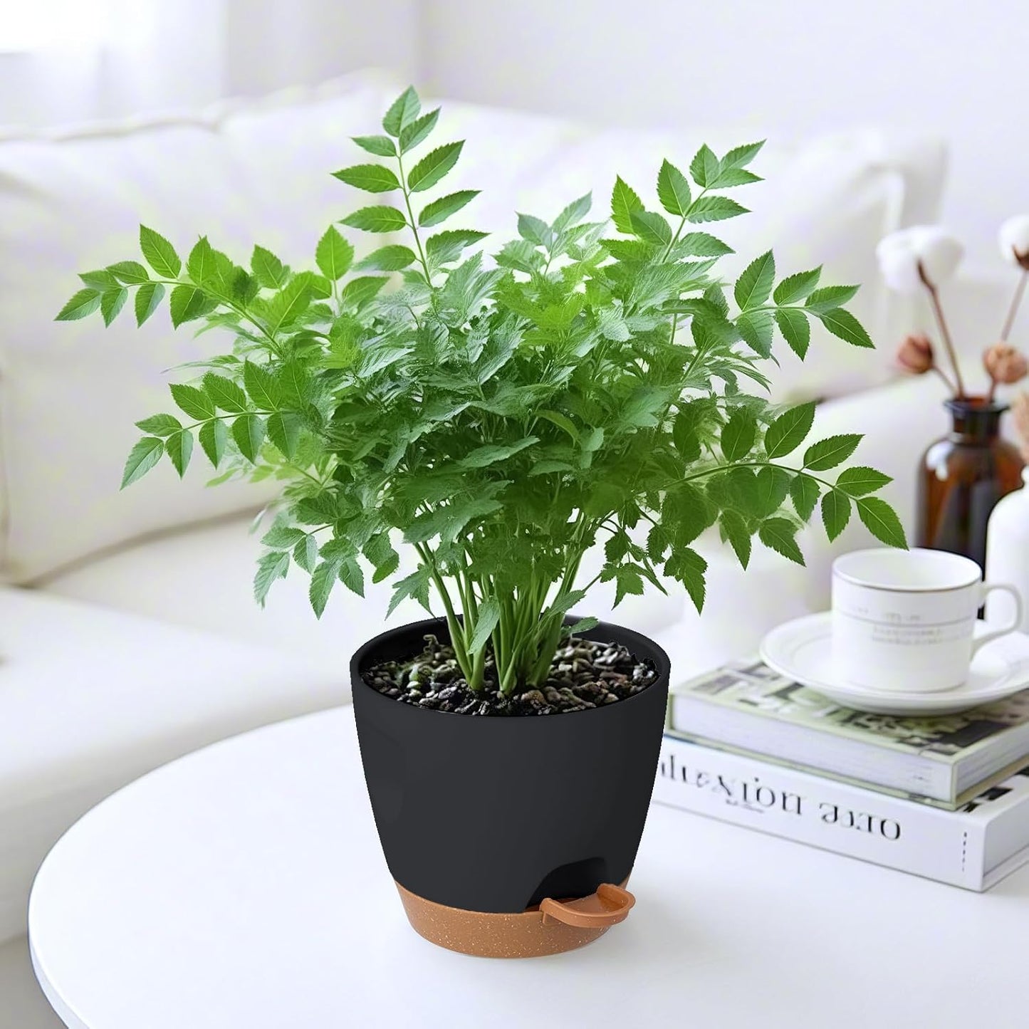 5-Pack Plant Pots with Drainage for Winter Care 7/6.5/6/5.5/5 Inch, Self Watering Pots for Indoor Plants, Planters for Indoor Outdoor Plants, Plastic Flower Pot, Planter for Indoor Outdoor (Black)