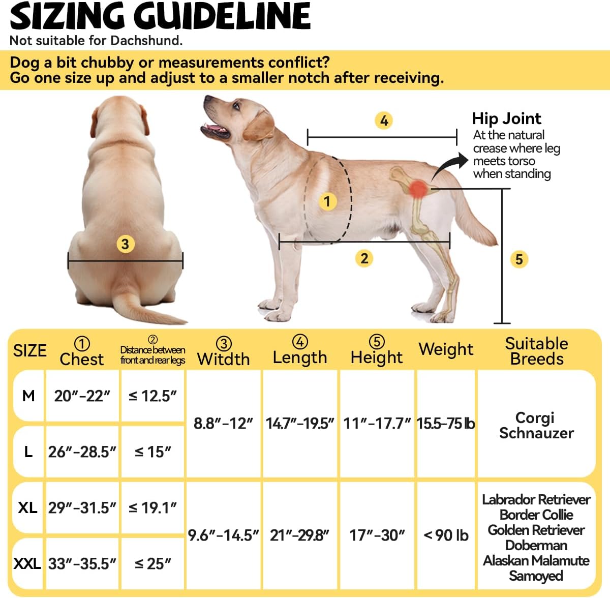 Dog Wheelchair for Back Legs Small, Newly Wheelchair for Small/Medium Dogs, Adjustable Dog Carts with Wheels for Disabled Hind Legs, with Leash, Angle-Adjustable All-Terrain Wheels - M