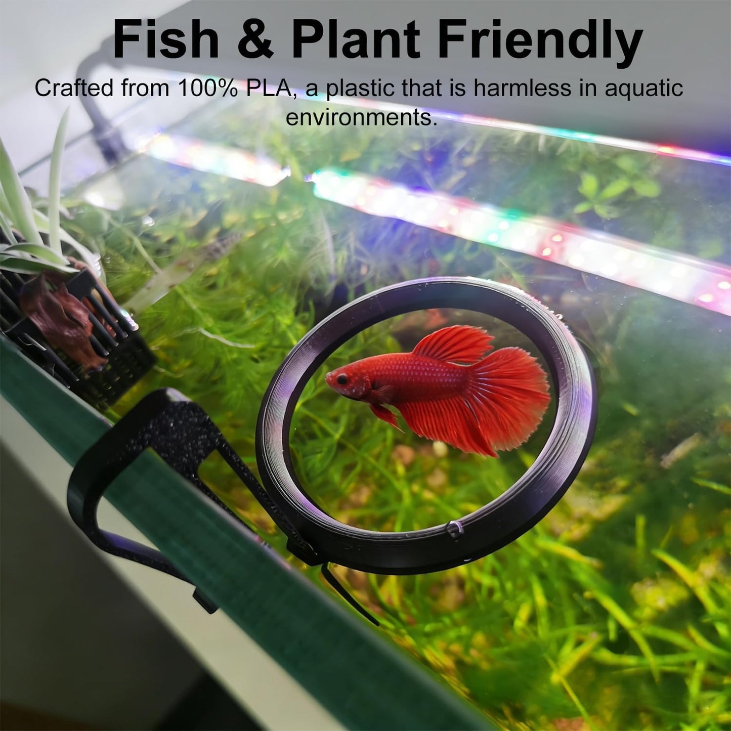 Clip On Fish Feeding Ring, Floating Aquarium Feeder, Non-Shedding Fish Food Holder for Betta Goldfish Guppy Turtle