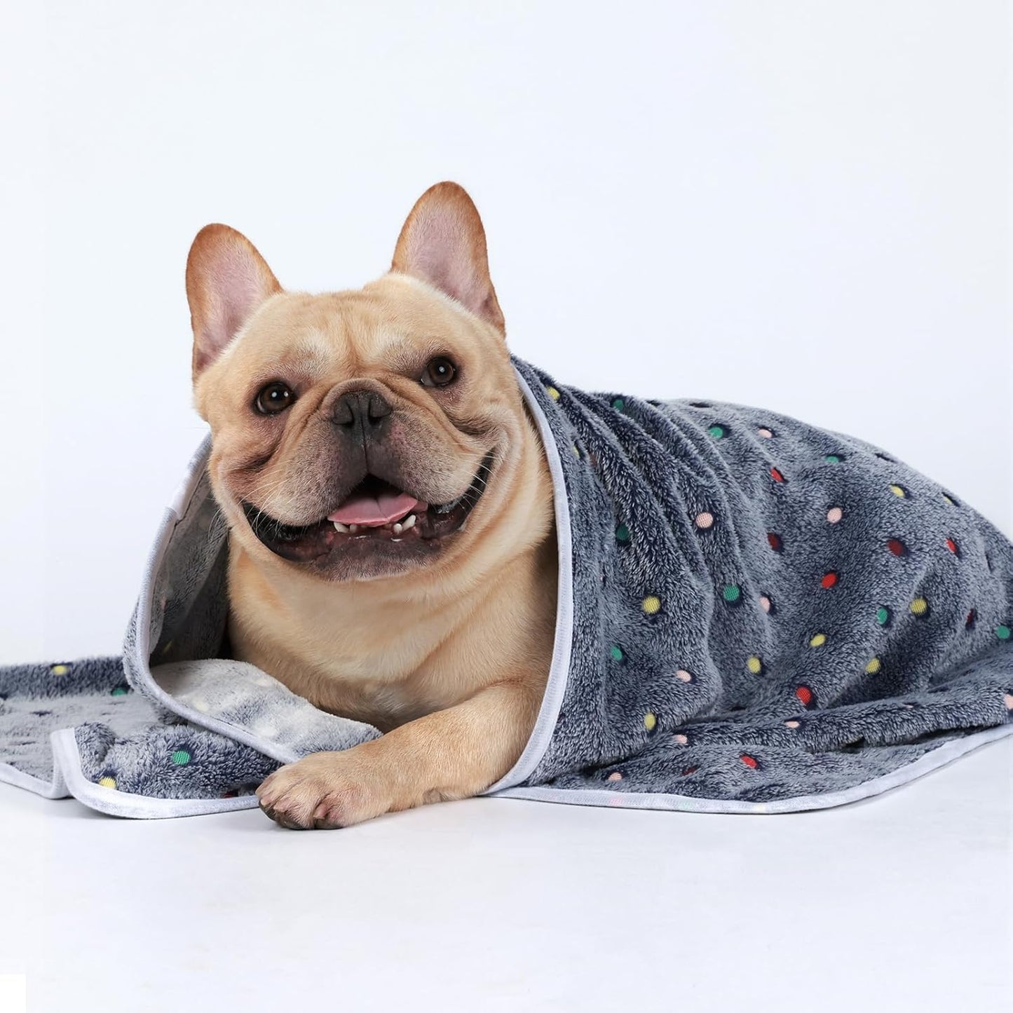 Luciphia 1 Pack 3 Blankets Super Soft Cute Dot Pattern Pet Blanket Flannel Throw for Dog Puppy Cat Small(23x16), Blue