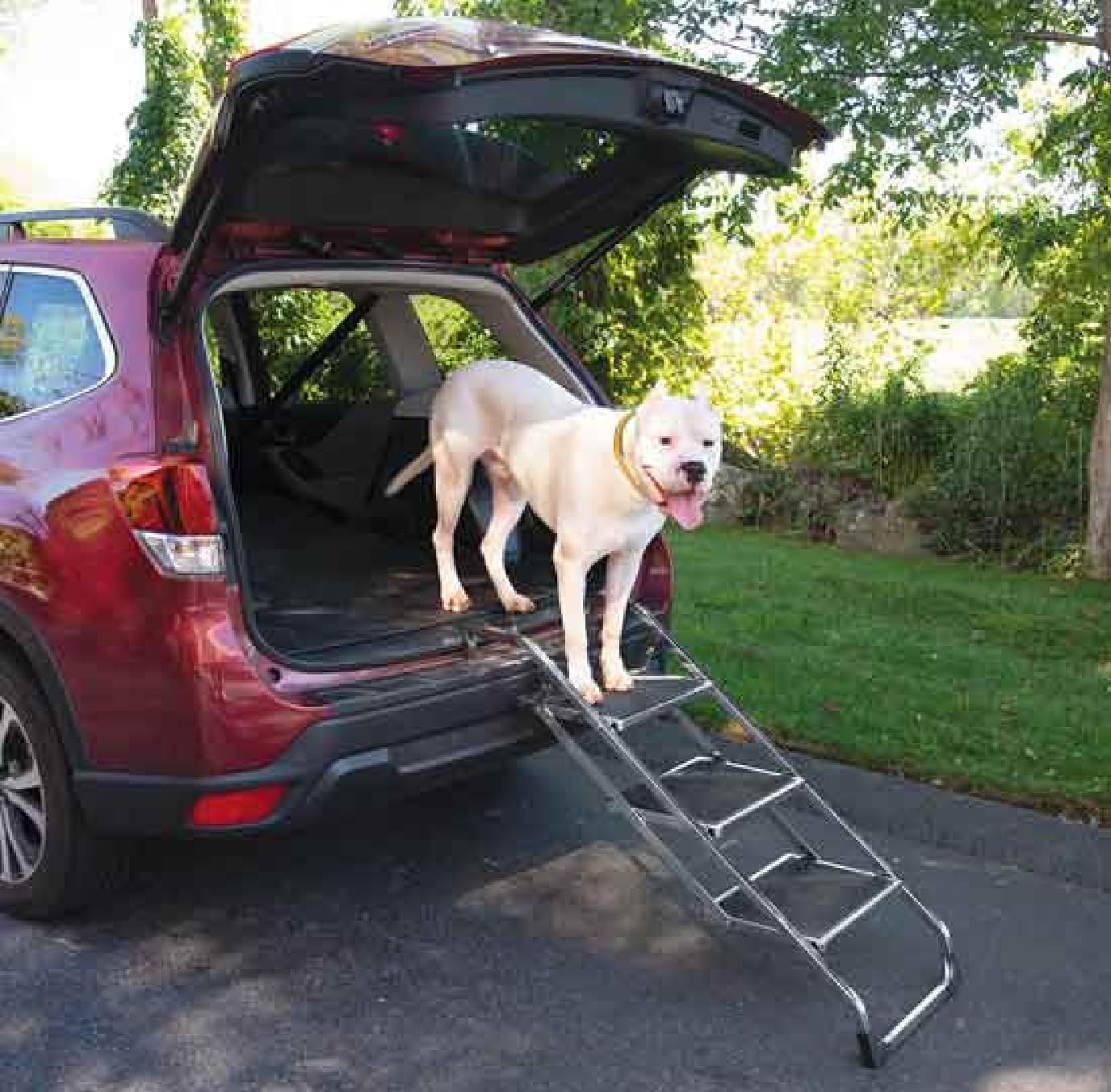 Steel Pet Stairs Heavy Duty Dog Travel or Grooming Assist Rubber Non-Skid Treads (1, Portable Pet Ramp Stairs)