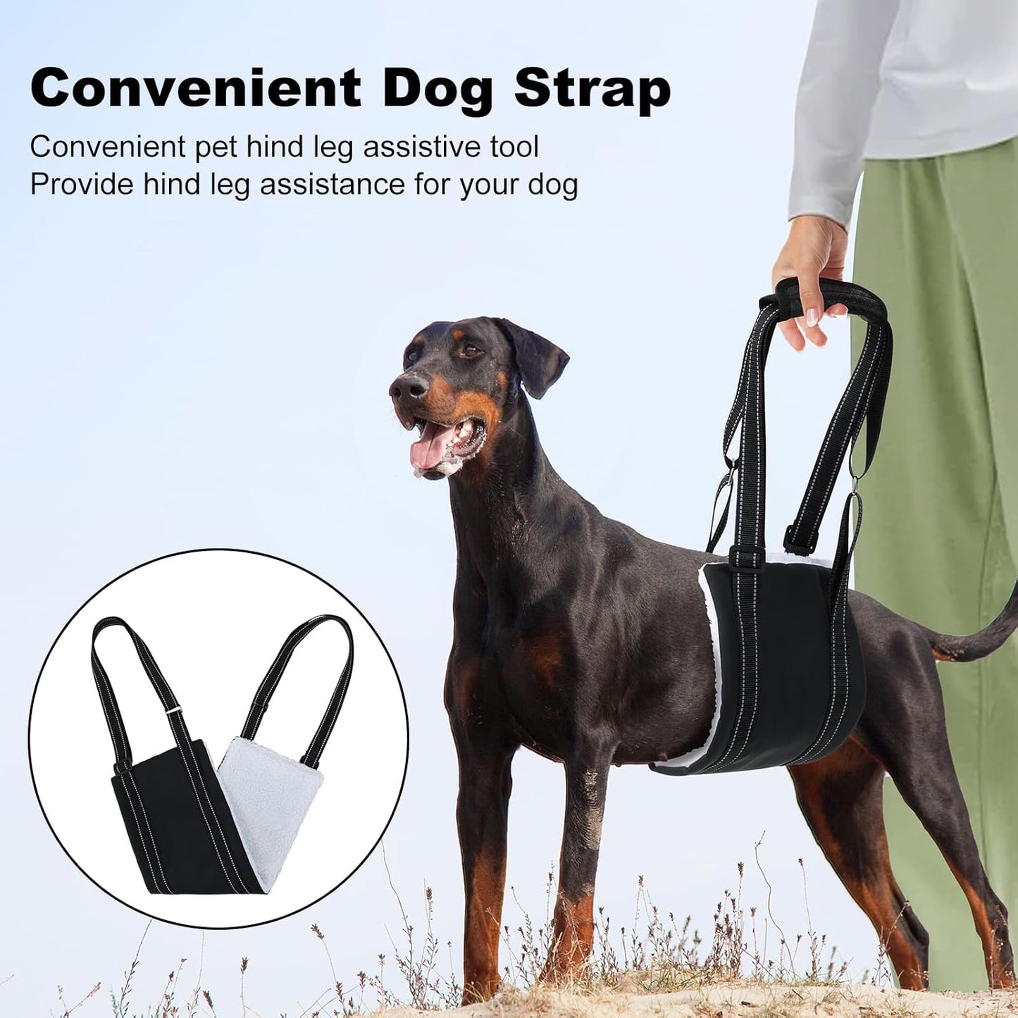 LARGE DOG HIND LEG SUPPORT SLING - Adjustable Dog Lift Harness for Senior, Injured, or Post-ACL Surgery Rehabilitation (Small)