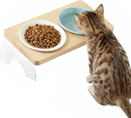 Elevated Cat Dog Bowl with Double Ceramic Bowls