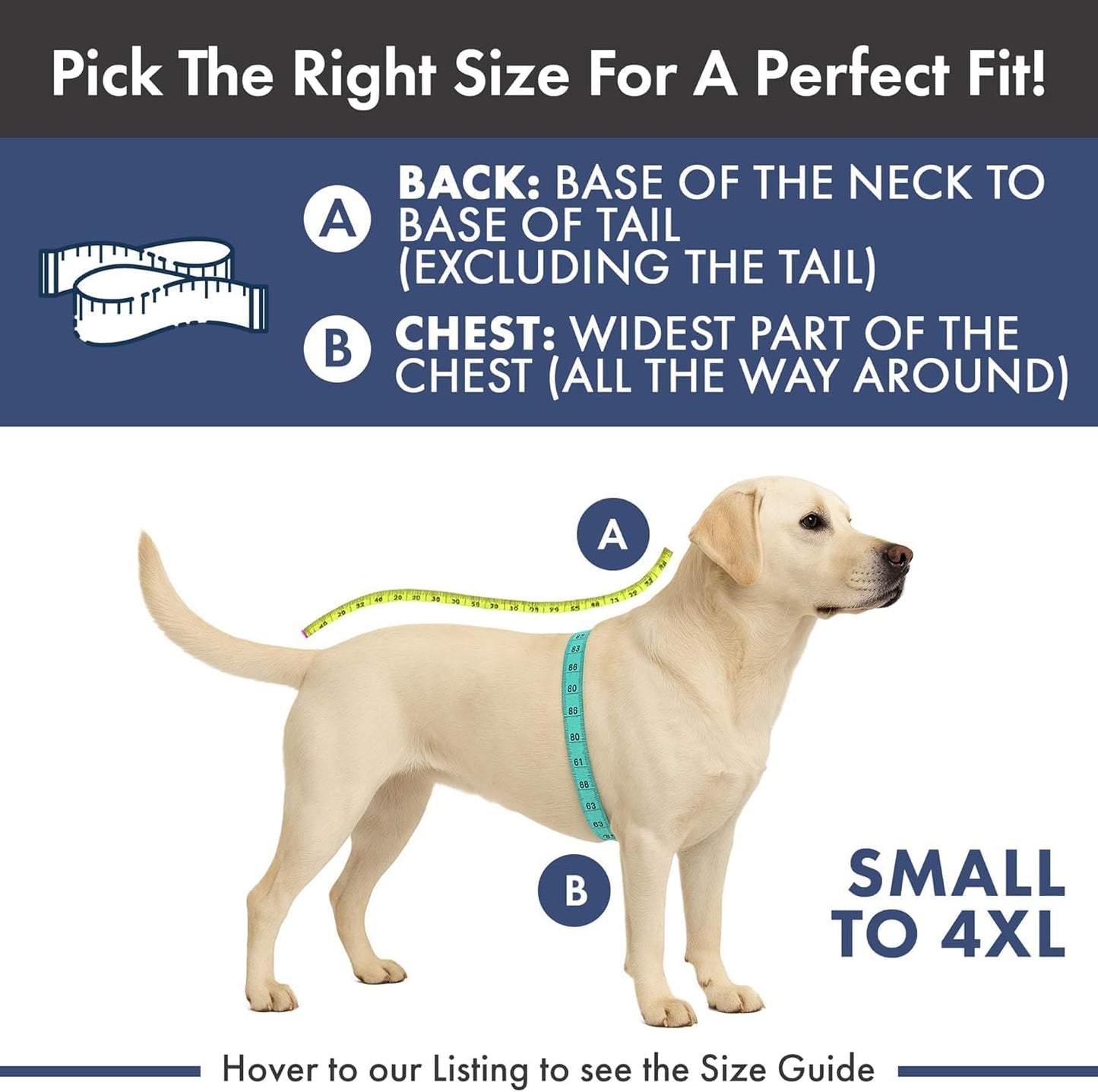 Spark Paws Dog Surgery Recovery Suit – Dog Recovery Suit After Surgery, Anti-Lick Dog Onesie, Abdominal Wound Protector, Soft Cone Alternative for Spay Neuter Male Female Pet Recovery - Sunshine - M