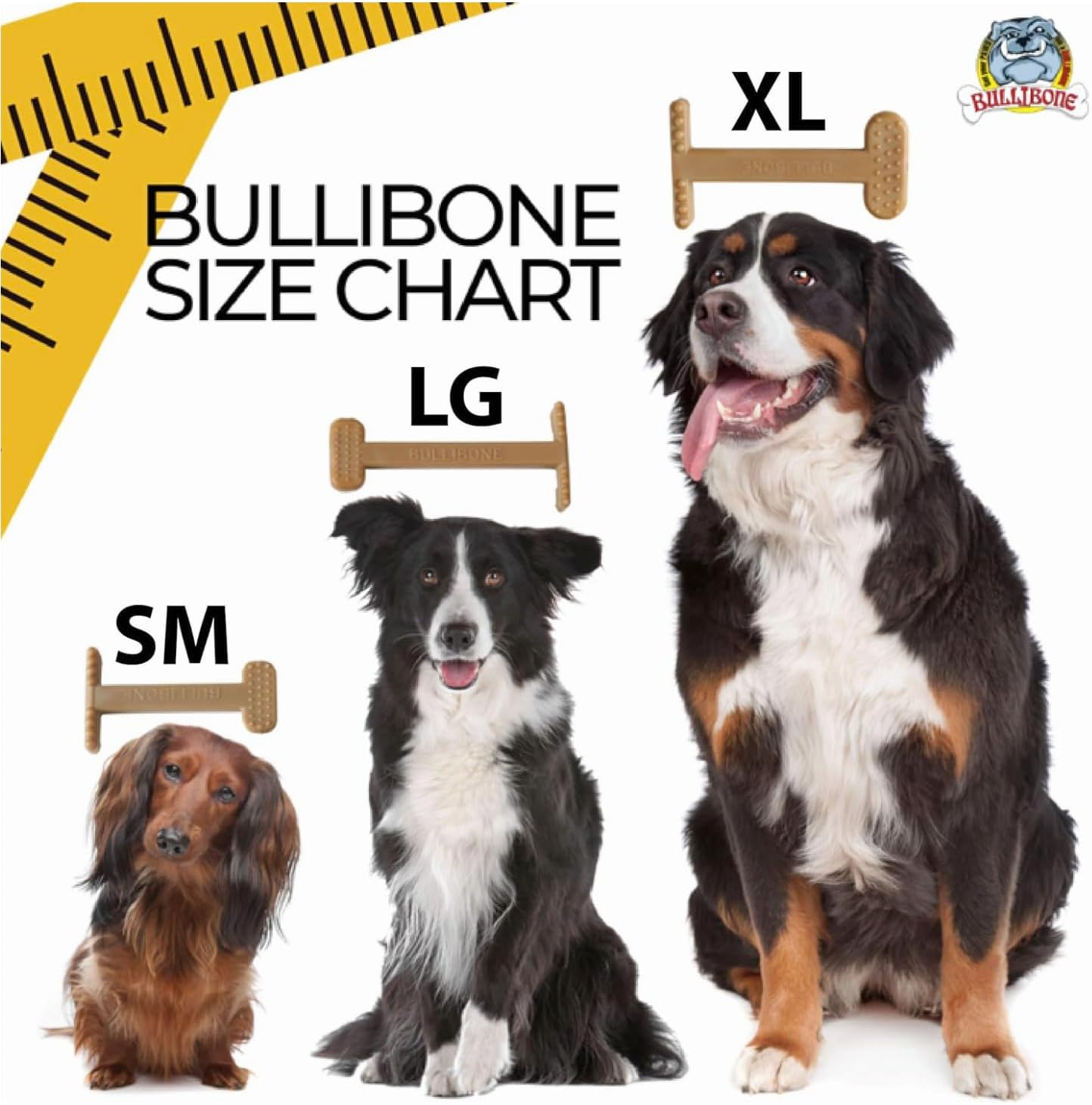 Bullibone Nylon Dog Chew Toy for Aggressive Chewers - Dental Hygiene Bone with Peanut Butter Flavor, Durable Tough Chew Toys for Small Dogs, Indestructible Dog Bone - Single