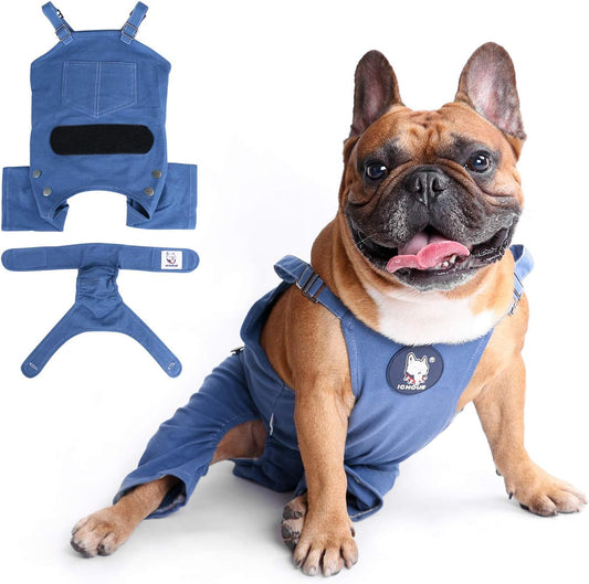 iChoue Cute Dog Diapers Suspenders for French Bulldog Frenchie Pug English Bulldog Female in Heat Cycle Blue - Small with 1pc Diaper